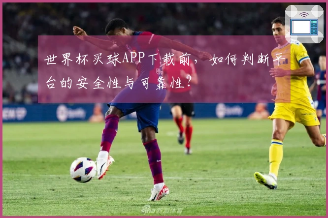 世界杯买球APP下载前，如何判断平台的安全性与可靠性？