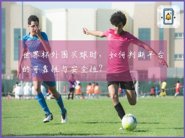 世界杯外围买球时，如何判断平台的可靠性与安全性？
