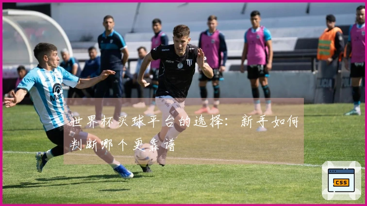 世界杯买球平台的选择：新手如何判断哪个更靠谱