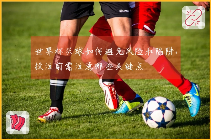 世界杯买球如何避免风险和陷阱，投注前需注意哪些关键点