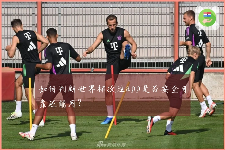 如何判断世界杯投注app是否安全可靠还能用？