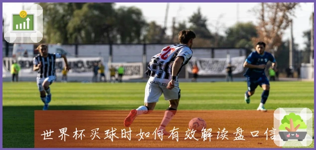 世界杯买球时如何有效解读盘口信息以避免风险