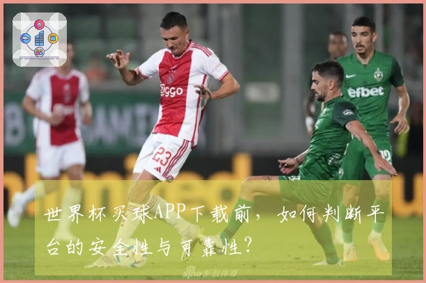 世界杯买球APP下载前，如何判断平台的安全性与可靠性？