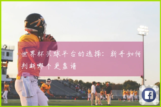 世界杯买球平台的选择：新手如何判断哪个更靠谱