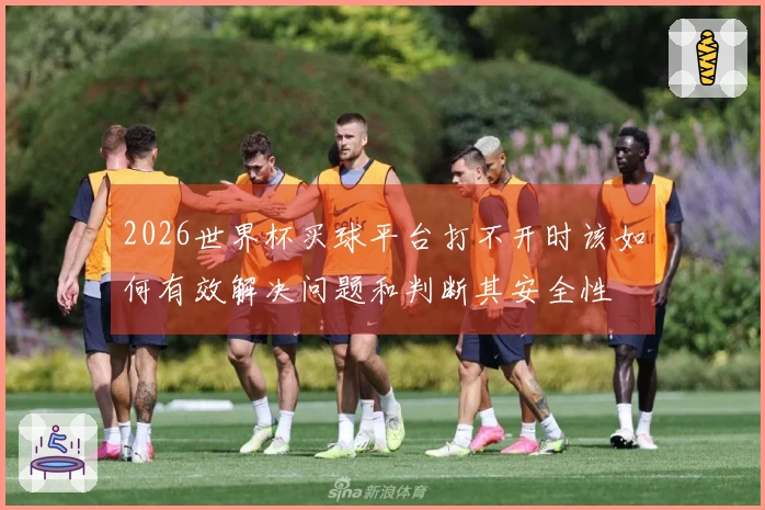 2026世界杯买球平台打不开时该如何有效解决问题和判断其安全性